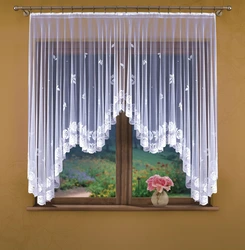 Curtains for the kitchen transparent photos