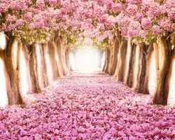 Фотообои для кухни фото сакура