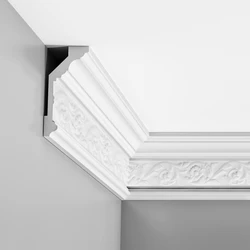 Ceiling plinths for hallway photo