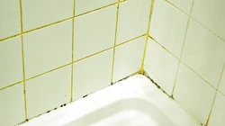 Vanna Otağı Fotoşəkilində Kafel Birləşmələri