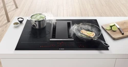 Built-in electric stoves for the kitchen photo
