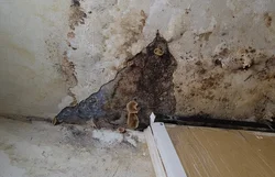 Photo in the kitchen is possible or not