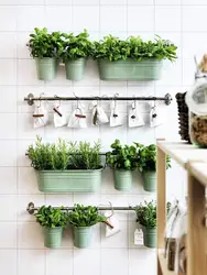 Flower on the wall in the kitchen photo