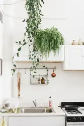 Flower on the wall in the kitchen photo