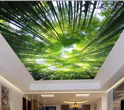 Photo wallpaper on the ceiling in the kitchen