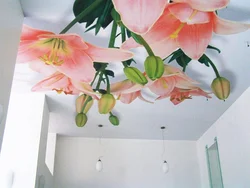 Photo wallpaper on the ceiling in the kitchen