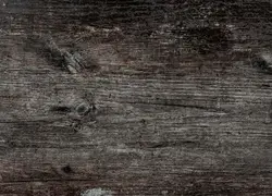 Kitchen countertop color oak photo