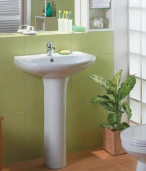 Sink with flowers for the bathroom photo