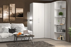 White Corner Cabinets In The Living Room Photo