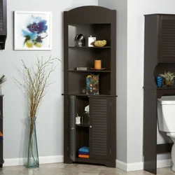 Vanna otağı fotoşəkilində hündür kabinet