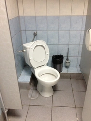 How to install a toilet in the bathroom photo