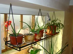 Shelf on the windowsill in the kitchen photo