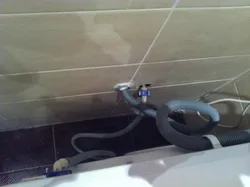 Paltaryuyan maşın vanna otağına axıdılır foto