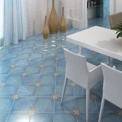 Blue Kitchen Floor Tiles Photo