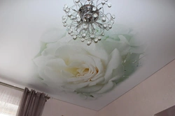 Flowers On The Ceiling In The Bedroom Photo