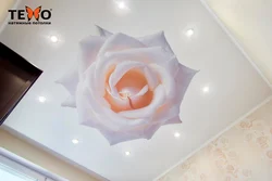Спальни