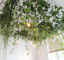 Flowers on the ceiling in the bedroom photo