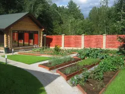 Ошхона дар мамлакат 6 гектар сурат