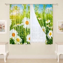 Tulle барои ошхона бо акс daisies