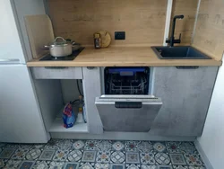 Кухня ў хрушчоўцы дызайн фота з посудамыйнай машынай