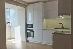 Handles for a built-in refrigerator photo if the kitchen is without handles