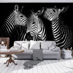 Ichki yashash xonasi zebra