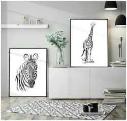 Interior living room zebra
