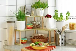 Kitchen interior stands