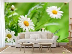 Chamomile kitchen interior