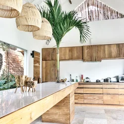 Tropical kitchen interior
