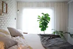 Дохили ҳуҷраи гулдор