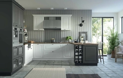 Neo kitchens in the interior