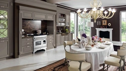 Neo kitchens in the interior