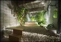 Greenery in the bathroom interior