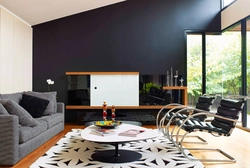 Anthracite in the living room interior