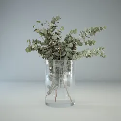 Эвкалипт в интерьере кухни