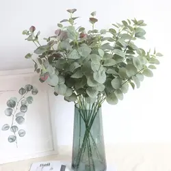 Eucalyptus In The Kitchen Interior