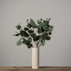 Eucalyptus in the kitchen interior