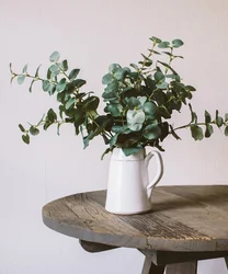 Eucalyptus in the kitchen interior