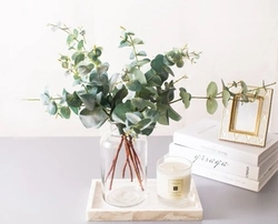 Eucalyptus in the kitchen interior