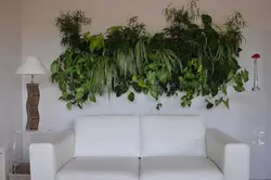 Растаниҳои сунъӣ дар дохили хонаи хоб