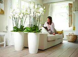 Artificial plants in the bedroom interior