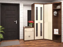 Wenge wardrobe in the hallway interior