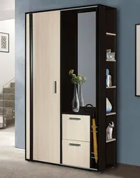 Wenge Wardrobe In The Hallway Interior