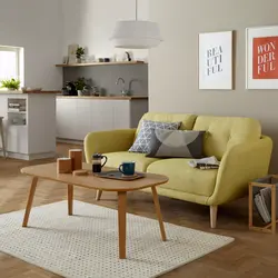 Yashash xonasining ichki qismidagi ikkita divan