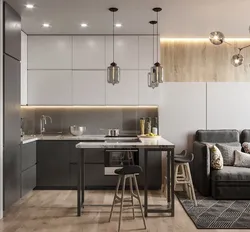 Gray studio kitchen design