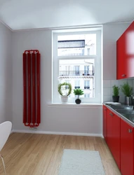 Kitchen radiator design