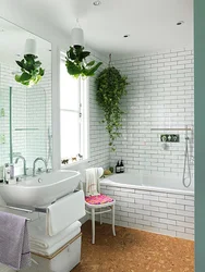 Bathroom Design With Grass