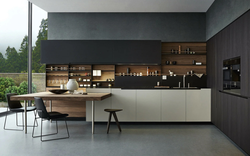 Kitchen design modern black