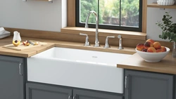 Overhead sink for the kitchen photo in the kitchen interior